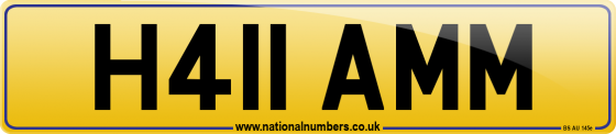H411 AMM
