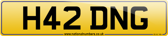 H42 DNG