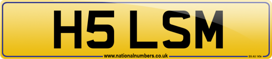 H5 LSM