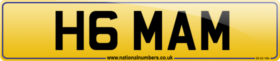 H6 MAM