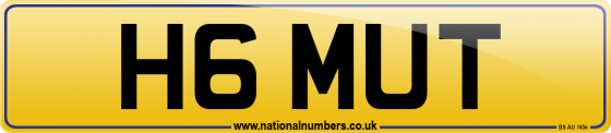 H6 MUT
