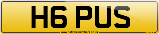 H6 PUS