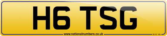 H6 TSG