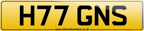 H77 GNS