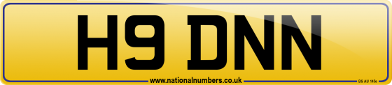 H9 DNN