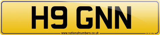 H9 GNN