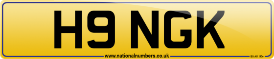H9 NGK