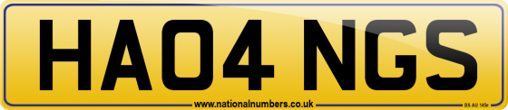 HA04 NGS