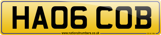 HA06 COB