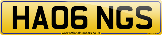 HA06 NGS