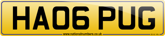 HA06 PUG