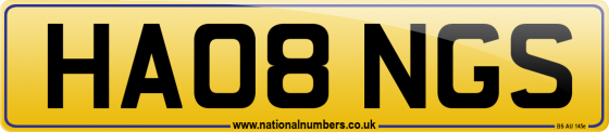 HA08 NGS