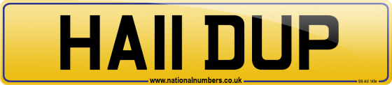 HA11 DUP