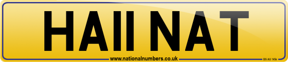HA11 NAT