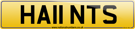 HA11 NTS