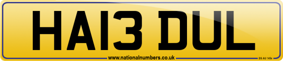 HA13 DUL