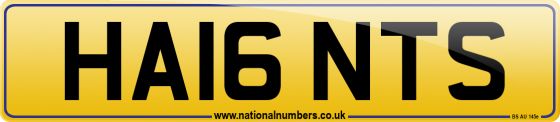 HA16 NTS