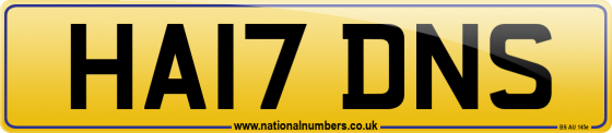 HA17 DNS