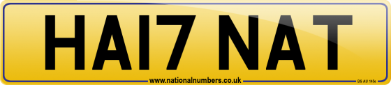 HA17 NAT