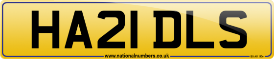 HA21 DLS