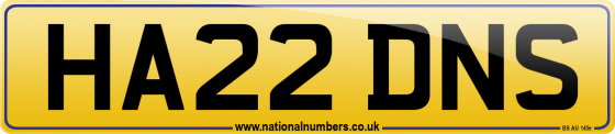 HA22 DNS