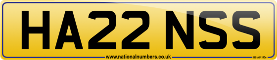 HA22 NSS