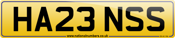 HA23 NSS