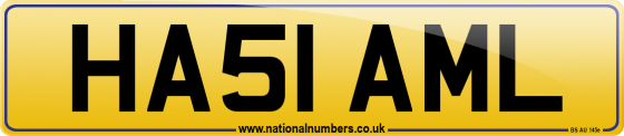 HA51 AML