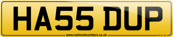 HA55 DUP