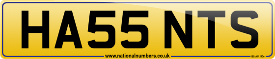 HA55 NTS