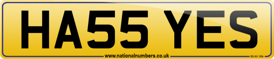 HA55 YES