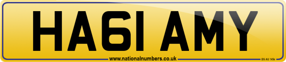 HA61 AMY