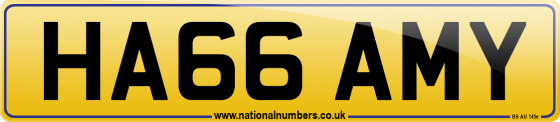 HA66 AMY