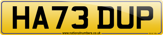 HA73 DUP