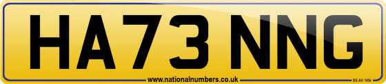 HA73 NNG