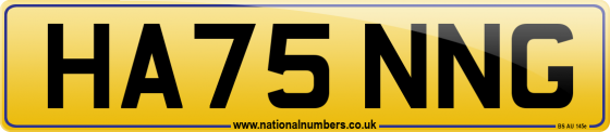 HA75 NNG