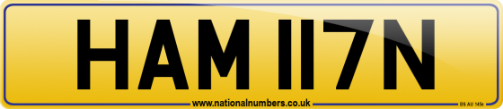 HAM 117N
