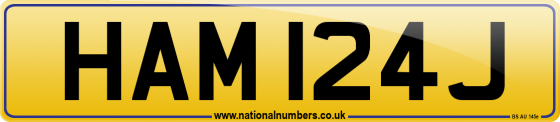 HAM 124J