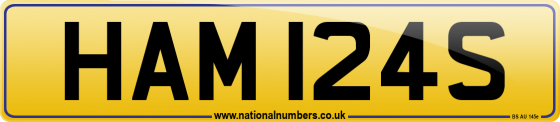 HAM 124S