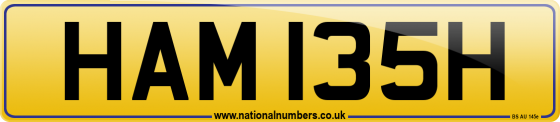 HAM 135H