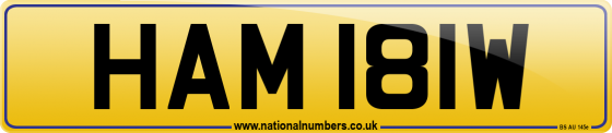 HAM 181W