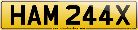 HAM 244X