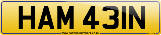 HAM 431N