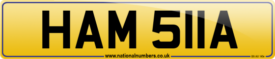 HAM 511A
