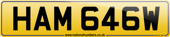 HAM 646W