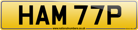 HAM 77P