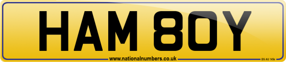 HAM 80Y