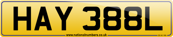 HAY 388L