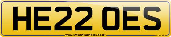 HE22 OES