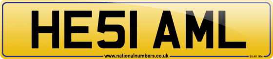 HE51 AML
